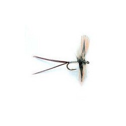 Mayfly Grey Spent