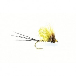 Mayfly Loopwing