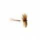 Mayfly Lunn's Spent Gnat