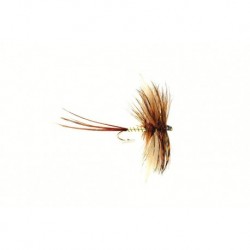Mayfly Lunn's Spent Gnat