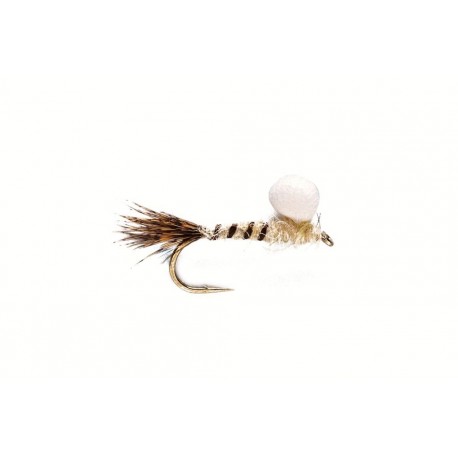 Mayfly Nymph