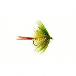 Mayfly Olive Drowned