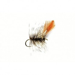 Mayfly Shadow
