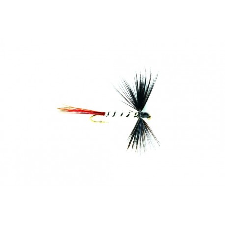 Mayfly Spent Black Drake