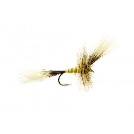 Mcphail Olive Wulff