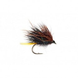 Mcphail Sedgehog Hopper Kate Mclaren