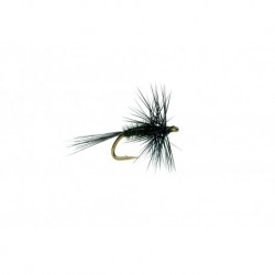 Midge Black