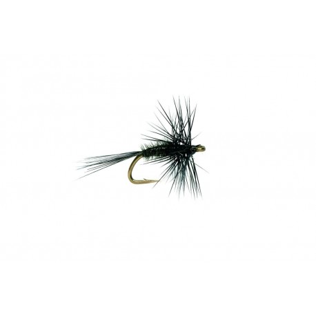 Midge Black