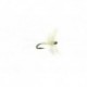 Midge Caenis