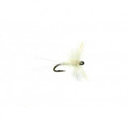 Midge Caenis