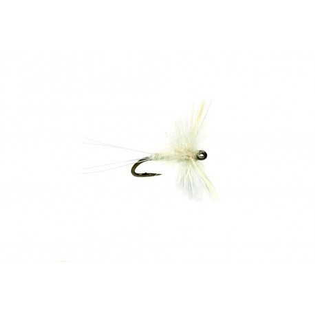 Midge Caenis