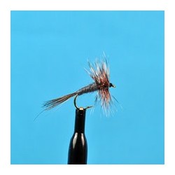 Midge Dry Adams