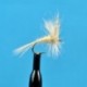Midge Dry Cream