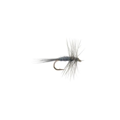 Midge Dun