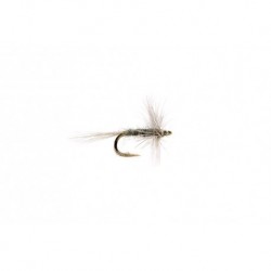 Midge Gray