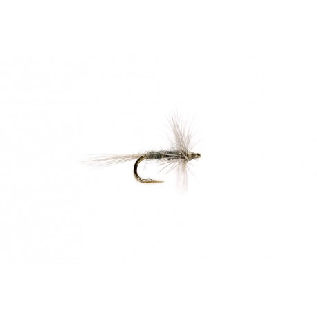 Midge Gray