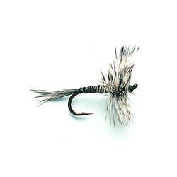 Mosquito