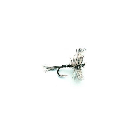 Mosquito