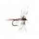 Mosquito Larva