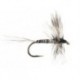 Mosquito