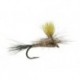 Mr. Rapidan Parachute