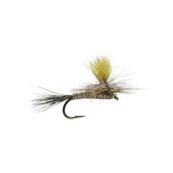 Mr. Rapidan Parachute