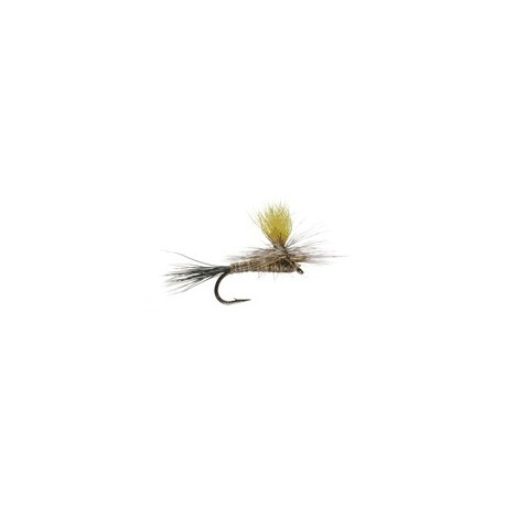 Mr. Rapidan Parachute