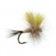 Mr. Rapidan