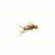 Muddled Daddy Longlegs