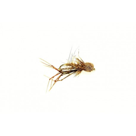 Muddled Daddy Longlegs