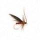 Murrough Sedge