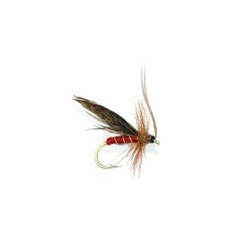 Murrough Sedge