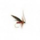 Murrough Sedge