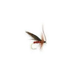 Murrough Sedge