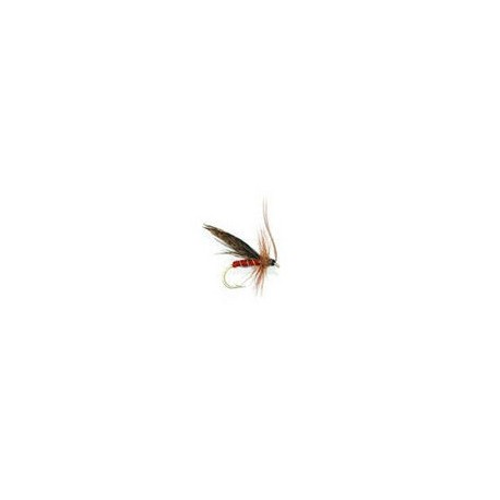Murrough Sedge