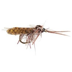 Natural Deer Sedge