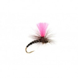 Oe Pinkhammer