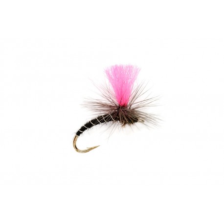 Oe Pinkhammer