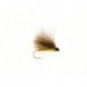 Olive CDC