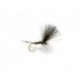 Olive Dun CDC