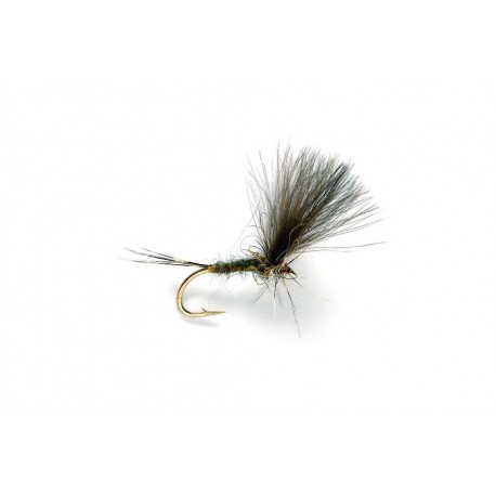 Olive Dun CDC