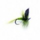 Olive Dun