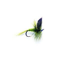 Olive Dun