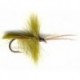 Olive Horned Caddis