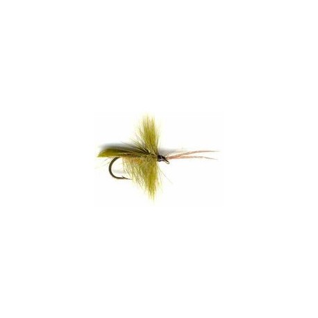 Olive Horned Caddis