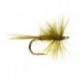 Olive Midge