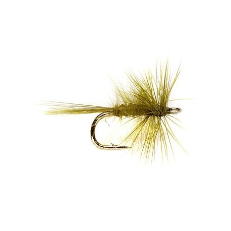 Olive Midge