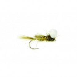 Olive Nymph