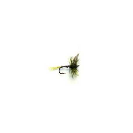 Olive Quill