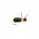 Orange Kicking Beetle